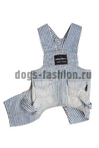 Комбинезон DC048 ― Dogs Fashion - одежда для собак
