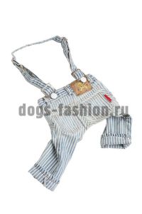 Брюки DP006 ― Dogs Fashion - одежда для собак