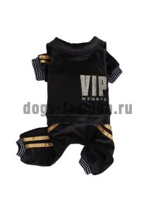 Костюм спорт VIP DRF010 ― Dogs Fashion - одежда для собак