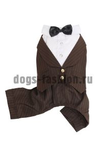Смокинг F011 ― Dogs Fashion - одежда для собак