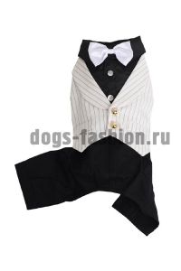 Смокинг F013 ― Dogs Fashion - одежда для собак