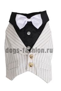 Смокинг F014 ― Dogs Fashion - одежда для собак