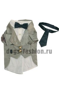 Смокинг F016 ― Dogs Fashion - одежда для собак