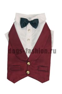 Смокинг F021 ― Dogs Fashion - одежда для собак