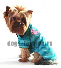 Поло T175 ― Dogs Fashion - одежда для собак
