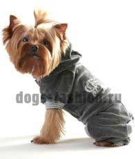 Костюм DRF022 ― Dogs Fashion - одежда для собак
