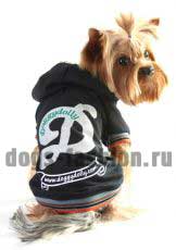 Толстовка W112 ― Dogs Fashion - одежда для собак