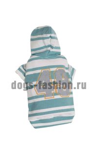 Толстовка W021 ― Dogs Fashion - одежда для собак