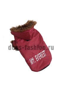 Куртка W024 ― Dogs Fashion - одежда для собак