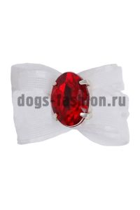 Бант B35 ― Dogs Fashion - одежда для собак