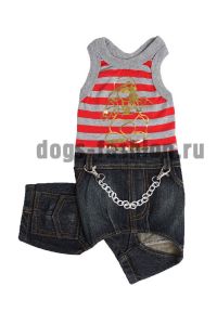 Костюм C008 ― Dogs Fashion - одежда для собак