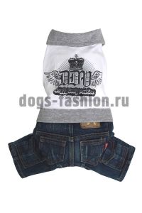 Костюм для мальчика C039 ― Dogs Fashion - одежда для собак