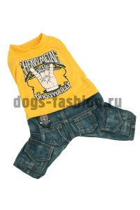 Костюм для мальчика C095 ― Dogs Fashion - одежда для собак