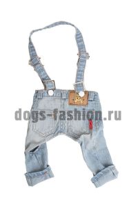 Джинсы DP003 ― Dogs Fashion - одежда для собак