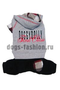 Костюм DRF020 ― Dogs Fashion - одежда для собак