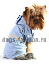 Футболка T046 ― Dogs Fashion - одежда для собак